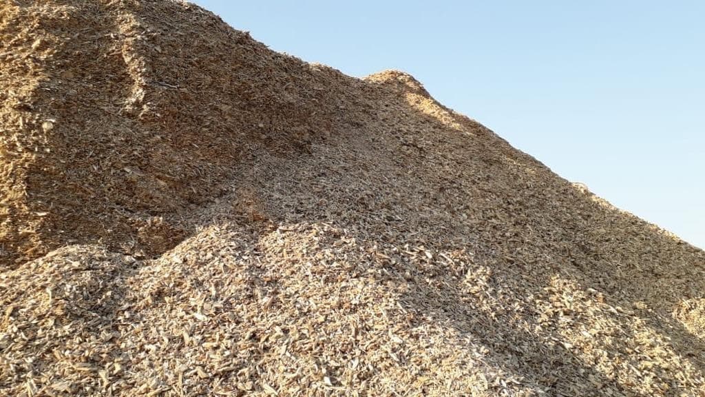 Biomass Aggregation & Supply